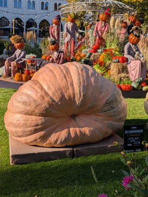 Tivoli Gardens by null