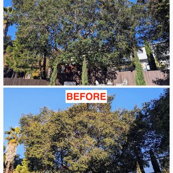 EC Tree Service - Tree Services Near Me - Redwood City, California