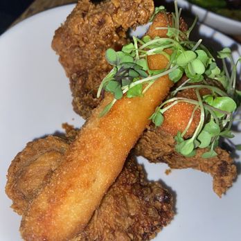 The Twisted Tail - Fried Chicken - Venues & Event Spaces Near Me - Philadelphia, Pennsylvania The Twisted Tail - Fried Chicken - Venues & Event Spaces Near Me - Philadelphia, Pennsylvania