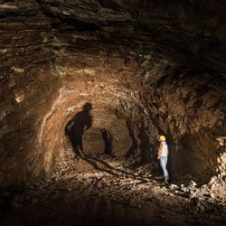 Parco Delle Gole Della Breggia, Direzione - Parco delle Gole della Breggia, Direzione