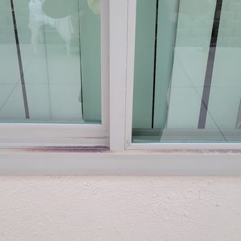 Rogers Window - a dog looking out the window - General Contractors Near Me - Bellflower, California