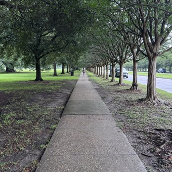 City Park  - Parks Near Me - New Orleans, Louisiana