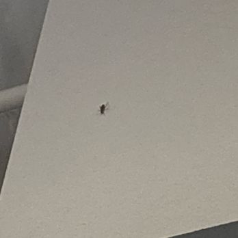 Anytime Fitness - Cockroach tryna catch someone lacking - Gyms Near Me - Sanger, California Anytime Fitness - Cockroach tryna catch someone lacking - Gyms Near Me - Sanger, California