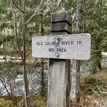 Old Salmon River Trail - Hiking Near Me - Clackamas, Oregon