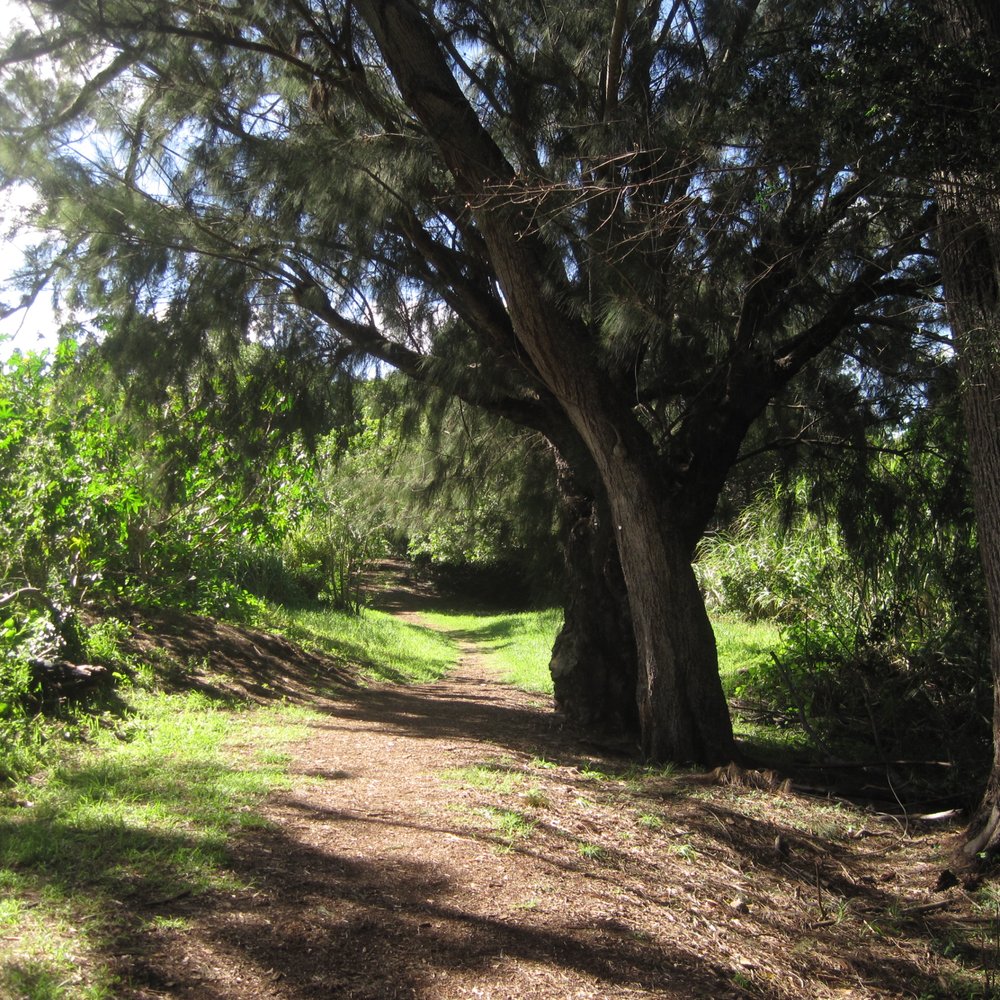 Waimea Nature Park - Dog Parks Near Me - Waimea, Hawaii Waimea Nature Park - Dog Parks Near Me - Waimea, Hawaii