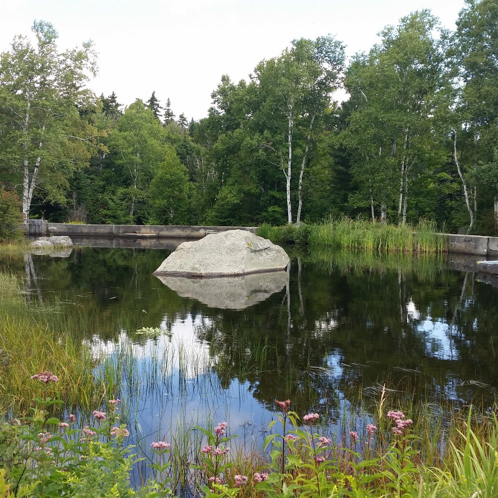 Seyon Lodge State Park - Bed & Breakfast Near Me - Groton, Vermont Seyon Lodge State Park - Bed & Breakfast Near Me - Groton, Vermont