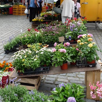 Marktplatz - Public Plazas Near Me - Bad Schwartau, SH