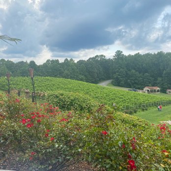 Potomac Point Winery - Beautiful outdoor scenery - Wineries Near Me - Stafford, Virginia