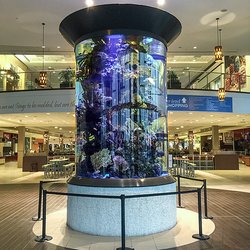 Aquaria Services