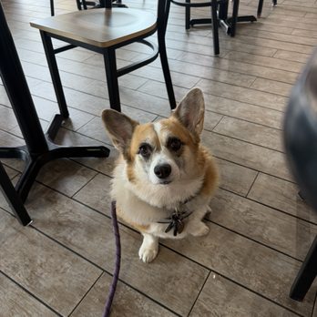 Liberty Cafe - Breakfast & Brunch Near Me - Saint George, Utah