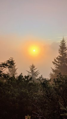 Waterrock Knob by null