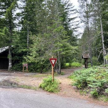 Newhalem Campground - Trailhead near A&B loops. - Hiking Near Me - Marblemount, Washington