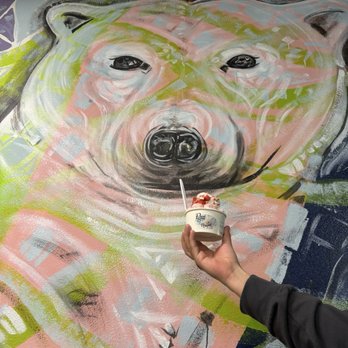 Polar Bear Rolled Ice Cream - Ice Cream & Frozen Yogurt Near Me - Oakley, California