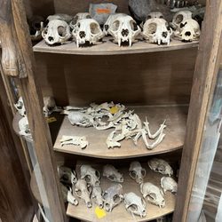 Restless Acres Antiques