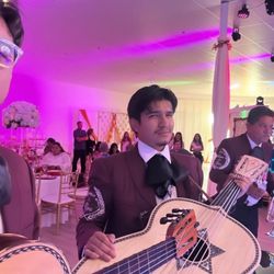 Mariachi Estrella de America