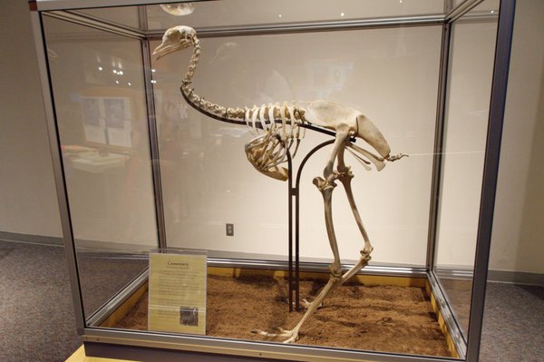 oregon museum  science  industry    reviews