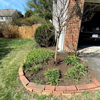 Jano Lawncare Services - Uprooted tree stump removed and covered with mulch - Gardeners Near Me