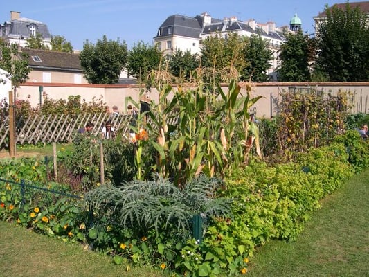 Jardin Catherine-Labouré by null