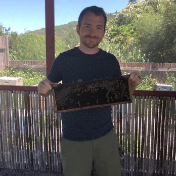Big Island Bees - My husband getting to hold part of the hive - Honey Near Me - Captain Cook, Hawaii Big Island Bees - My husband getting to hold part of the hive - Honey Near Me - Captain Cook, Hawaii