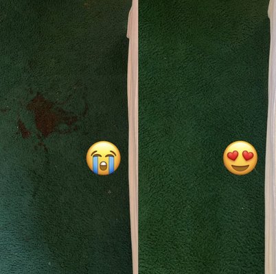 Carpet Cleaning - We get countless clients every year who think they'll have to replace their carpet. You'd be surprised what working with a professional carpet cleaner can do for your well loved floors! Carpet Cleaning - We get countless clients every year who think they'll have to replace their carpet. You'd be surprised what working with a professional carpet cleaner can do for your well loved floors!