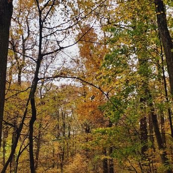 Tallman Mountain State Park - Perfect timing to fall foliage on 10/31/2022 - Parks Near Me - Sparkill, New York Tallman Mountain State Park - Perfect timing to fall foliage on 10/31/2022 - Parks Near Me - Sparkill, New York