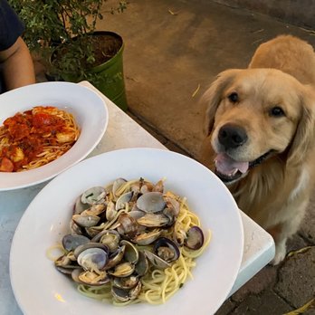 Trattoria I Trulli - Outdoor dining dogs allowed - Italian Near Me - Encinitas, California Trattoria I Trulli - Outdoor dining dogs allowed - Italian Near Me - Encinitas, California