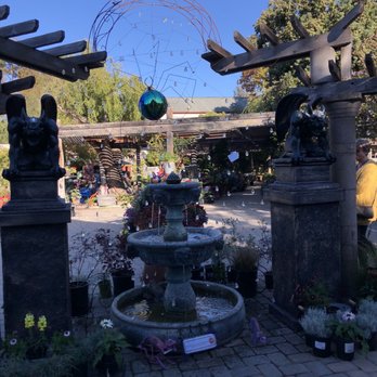 Cambria Nursery and Florist - Nurseries & Gardening Near Me - Cambria, California Cambria Nursery and Florist - Nurseries & Gardening Near Me - Cambria, California
