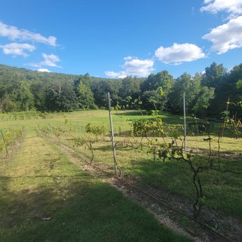 Torne Valley Vineyards - Venues & Event Spaces Near Me - Suffern, New York Torne Valley Vineyards - Venues & Event Spaces Near Me - Suffern, New York
