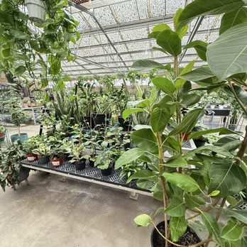 La Sumida Nursery - Indoor plant room - Nurseries & Gardening Near Me - Santa Barbara, California La Sumida Nursery - Indoor plant room - Nurseries & Gardening Near Me - Santa Barbara, California