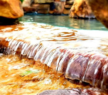 Essex Association Management, L.P