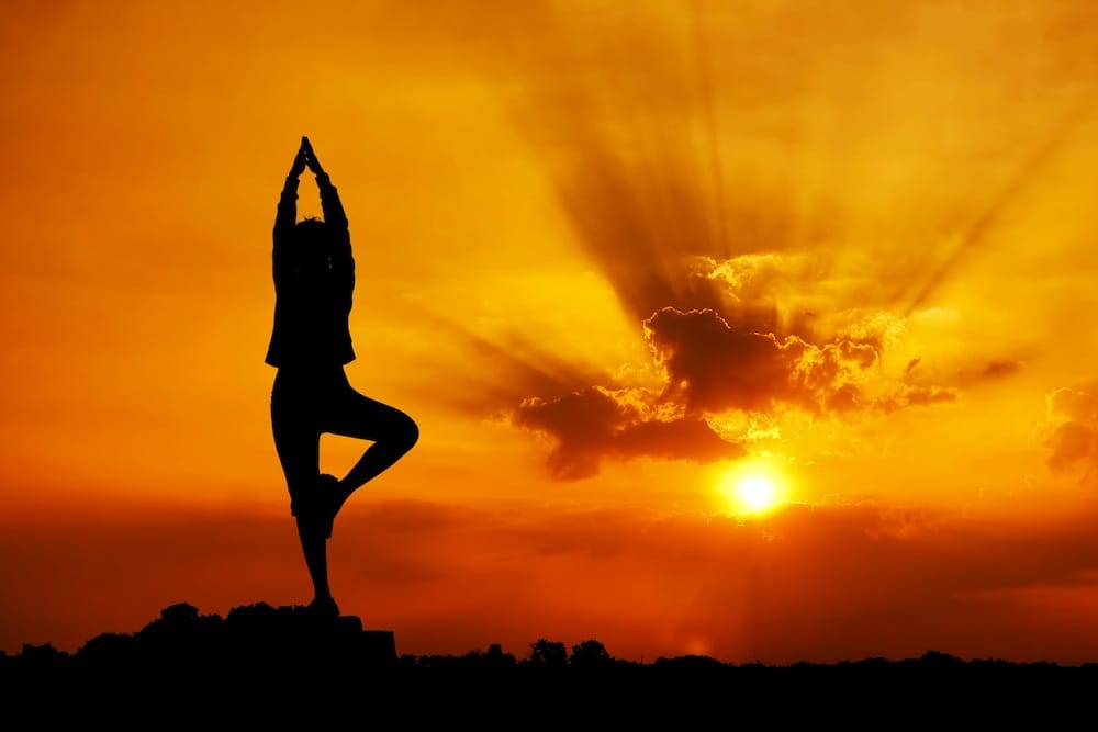 Equipose Yoga Studio Logo