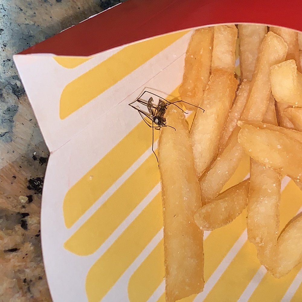 McDonalds - Found a bug in my fries - Burgers Near Me - Roseville, California McDonalds - Found a bug in my fries - Burgers Near Me - Roseville, California