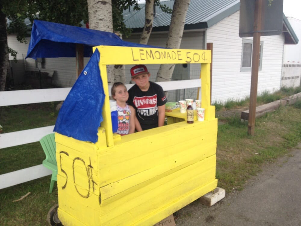 D&s Lemonade Stand Logo