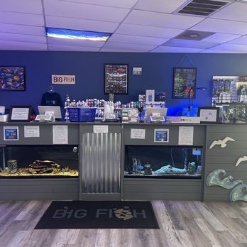 Big Fish - Local Fish Stores Near Me - Wilmington, North Carolina