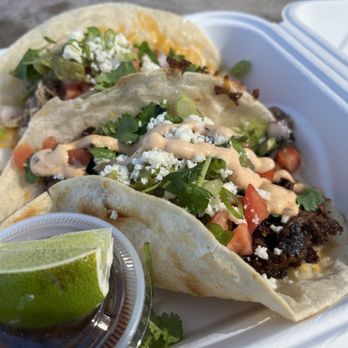 Beach Wolf - One beef, one pulled pork. And a super dry lime - Beach Equipment Rentals Near Me - Encinitas, California Beach Wolf - One beef, one pulled pork. And a super dry lime - Beach Equipment Rentals Near Me - Encinitas, California