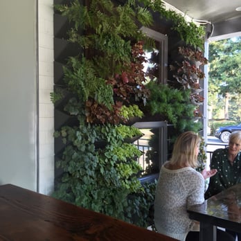 Cafe Dio - Cafes Near Me - Los Gatos, California