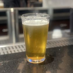 Disco Witch Brewing