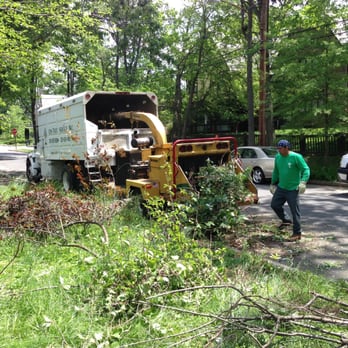 Ed's Tree Service - Tree Services Near Me - Beltsville, Maryland Ed's Tree Service - Tree Services Near Me - Beltsville, Maryland