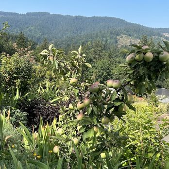 Apple Core Farm & Cut Flowers - Scenery from Apple Core Farm and Cut Flowers - Floral Designers Near Me - Hood River, Oregon