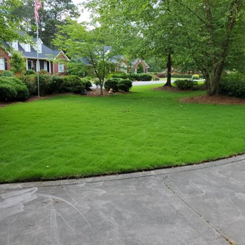 Quality Lawncare - a well maintained lawn in front of a house - Landscaping Near Me - Rome, Georgia Quality Lawncare - a well maintained lawn in front of a house - Landscaping Near Me - Rome, Georgia