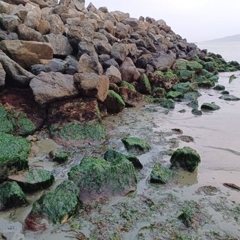Keller Beach - Beaches Near Me - Richmond, California