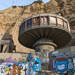 Mushroom House