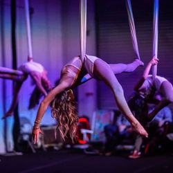 Aerial Revolution