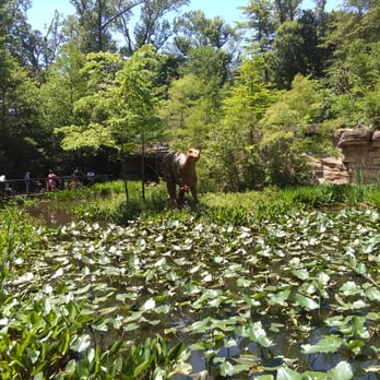 Birmingham Zoo - Zoos Near Me - Birmingham, Alabama