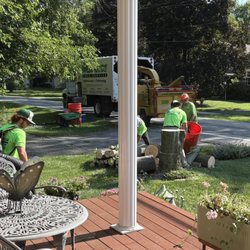 Edmonds Tree Experts