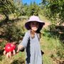 Photo of Noble Orchard