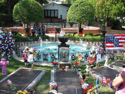 Graceland by null