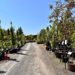 Kent's Garden & Nursery