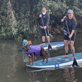 SUP DOG Hawaii - Paddleboarding Near Me - Haleiwa, Hawaii SUP DOG Hawaii - Paddleboarding Near Me - Haleiwa, Hawaii