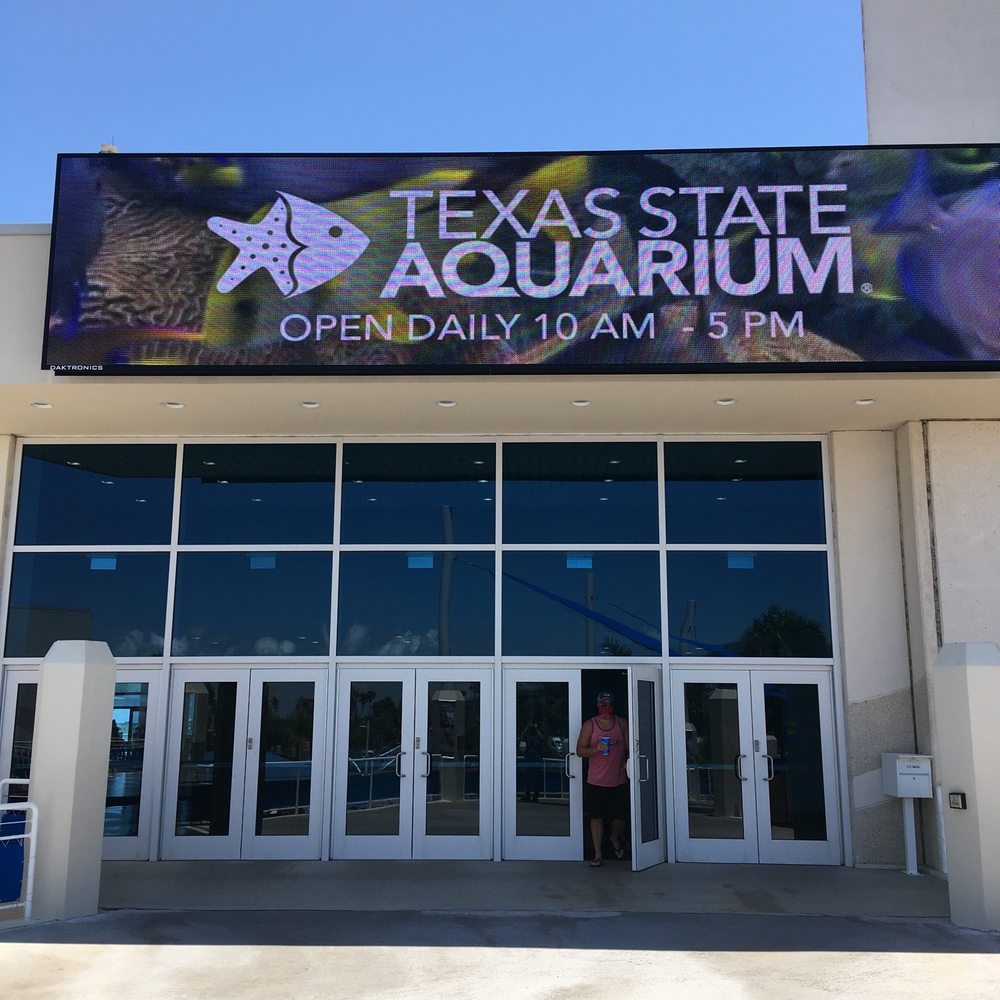 Texas State Aquarium - Aquariums Near Me - Corpus Christi, Texas Texas State Aquarium - Aquariums Near Me - Corpus Christi, Texas